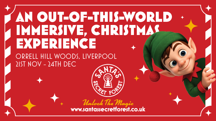 Santa's Secret Forest
